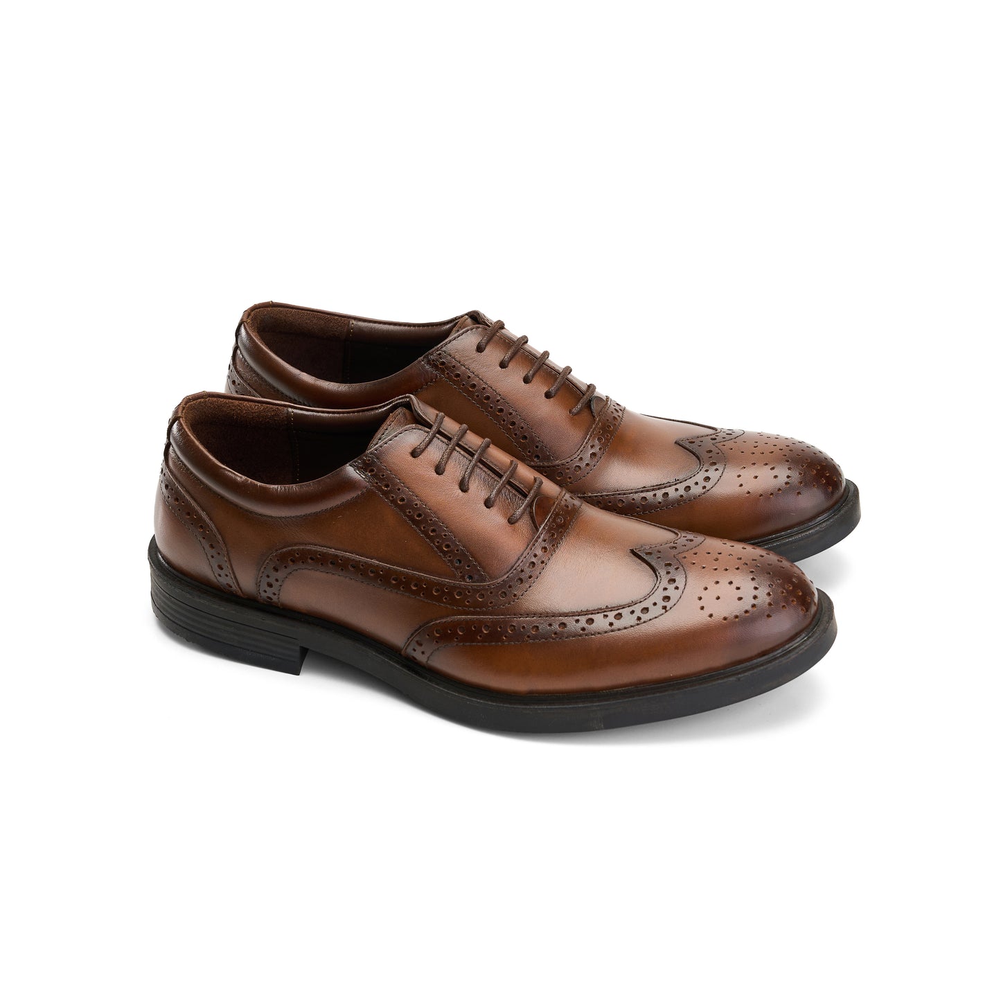 CAPPELLA PLUS - BROWN