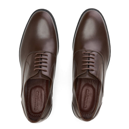 Smooth Leather Brown Derby Shoes