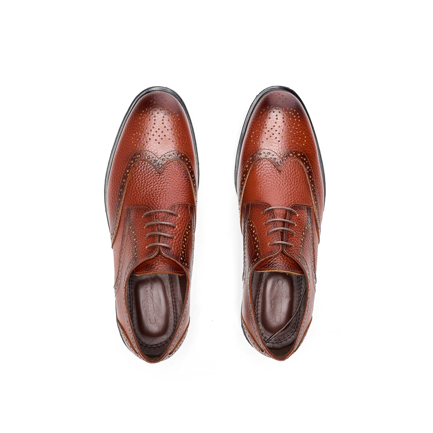 Grain Leather Havan Wingtip Brogues